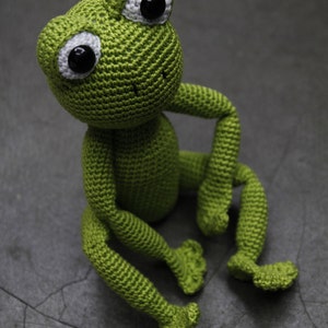 Sam the Frog Pattern image 1