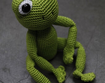 Sam the Frog - Pattern