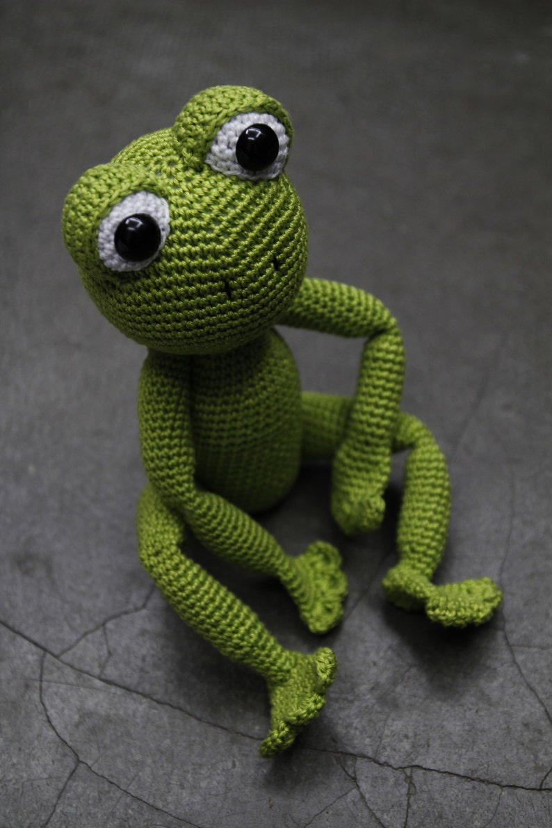 Sam the Frog Pattern image 1