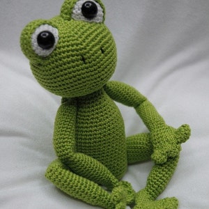 Sam the Frog Pattern image 3