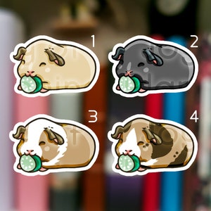 May include: Four cartoon guinea pig stickers, each with a different color scheme. The guinea pigs are shown eating a green and white cucumber slice. The sticker colors include tan, black, brown and white, and brown and tan.