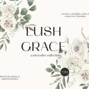 Clipart floral blanc eucalyptus aquarelle - fleurs blanches douces pâles neutres cadres couronnes clipart - Clipart de verdure pour les invitations de mariage