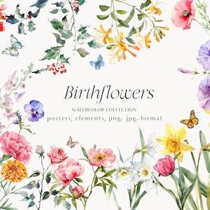 Mês de nascimento Flores Clipart DIY Mês de nascimento Impressão de flores - Gráficos florais Conjunto para impressão - Arte de parede floral - clipart aquarela png pacote