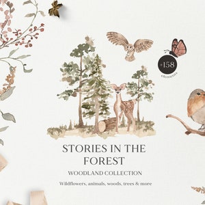 Aquarel bos bos dieren clipart-wildflower aquarel Woodland-herfst dierlijke clipart-herten beren bomen wasbeer egel vos, png PNGEgg