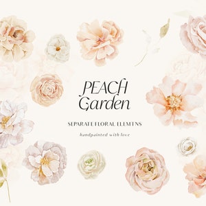 Perzik bloemen clipart - aquarel lentebloemen clipart - crème neutrale bloemen bruiloft clipart - aquarel clipart Premade bloemen clipart