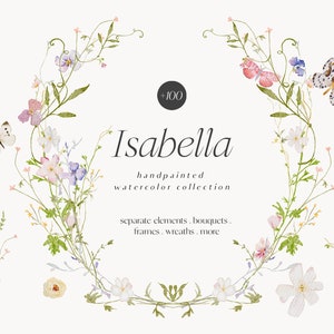 Clipart floral sauvage - aquarelle de fleurs sauvages - Clipart floral - Clipart premade - Clipart mariage - Clipart printemps - fleurs sauvages - Prairie