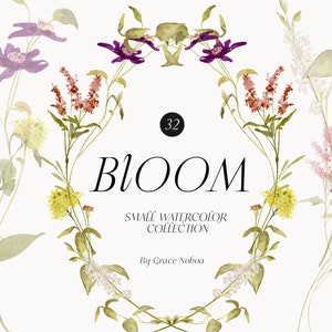 Aquarell Blumen Clipart - Wildblumen Blumen Clipart - Blumen Grenzen gesetzt - Wiese Blumen png Sommer Frühlingsblumen -Digitale Clipart PNG