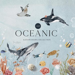 Aquarel onder de zee oceaan rif dieren clipart-handbeschilderd clipart bundel-walvis dolfijn schattige vis png-kwekerij print posters scuba