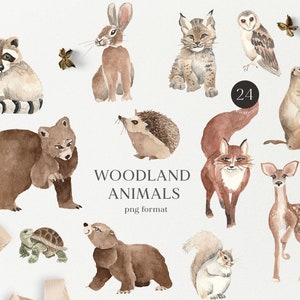 Forest Woodland animals watercolor clipart set- Wild forest clipart- Deer- mama bear- fox- bunny- hedgehog -baby shower- nursery invitations