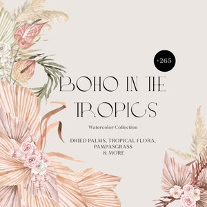Conjunto de aquarela de grama de pampas floral Boho e palmas secas - clipart de flores tropicais de verão - composição de flores Boho PNG