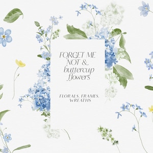 Aquarelle lilas forget me not clipart - Floral printemps Clipart - jardin été aquarelle png - bouquet floral bleu - fleurs violettes png