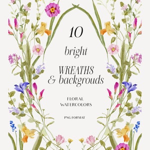 Aquarela de flores silvestres botânica floral clipart Aquarela de flores de jardim clipart Primavera brilhante verão ilustrações florais guirlanda floral PNG