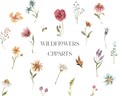 Watercolor wildflowers floral diy clipart-Botanical background clipart-watercolor garden clipart-Spring floral wildflower illustrations product logo
