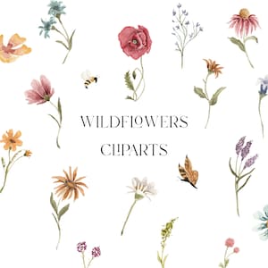 Watercolor wildflowers floral diy clipart-Botanical background clipart-watercolor garden clipart-Spring floral wildflower illustrations