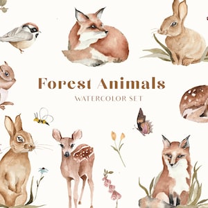 Forest woodland animal babies, Woodland Animals Watercolor Digital Clipart, Nursery Clipart, Wall decor for kids, Printable png Illustration