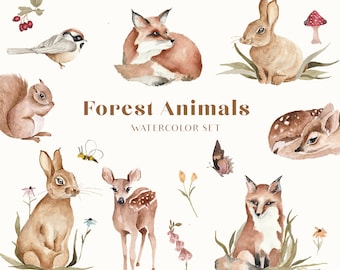 Forest woodland animal babies, Woodland Animals Watercolor Digital Clipart, Nursery Clipart, Wall decor for kids, Printable png Illustration