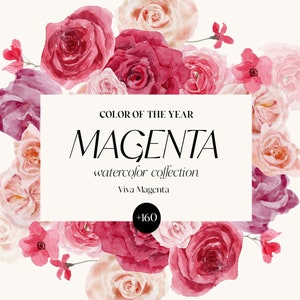 Magenta und rosa Blumen Clipart- Aquarell Blume Rosa Rosen Gartenelemente- Blush Pink Blumen Hochzeitsstrauß- Pink Fuchsia Blumen