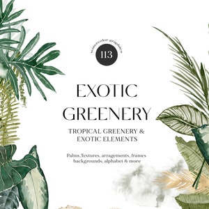 Boho Tropical Greenery Floral Clipart - Aquarela Monstera Palms Folhas - Clipart de Casamento Tropical - Buquês Tropicais Selva Molduras PNG Set