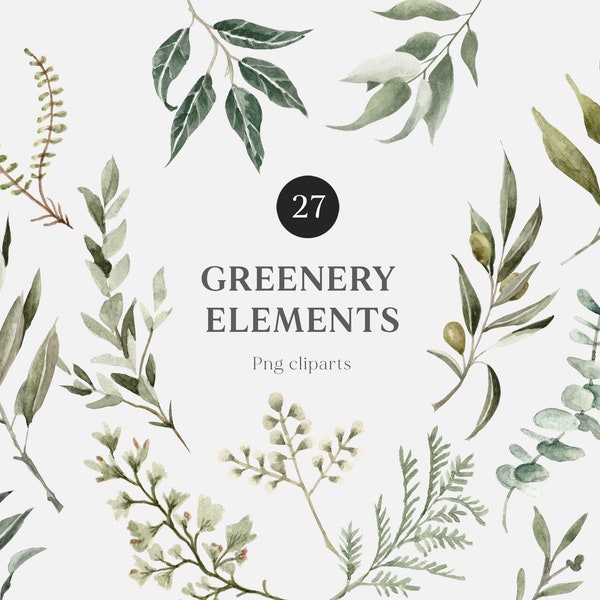 Watercolor Greenery Clipart, Individual Elements DIY png digital download, green foliage eucalyptus,Green Leaves Branches Twigs olive leaves
