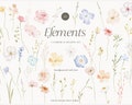 Wild Floral Clipart - Watercolor Wild Flowers - Floral Clipart - Pastel Clipart - Wedding Clipart - Spring Clipart - Wild Flowers - Meadow product logo