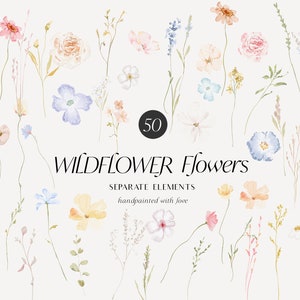 Clipart Floral Selvagem - Flores Silvestres em Aquarela - Clipart Floral - Clipart Pré-fabricado - Clipart de Casamento - Clipart de Primavera - Flores Silvestres - Prado