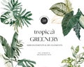 Boho Tropical greenery floral clipart- Watercolor Monstera palms Leaves- Tropical Wedding Clipart- Tropical Bouquets Jungle png set product logo