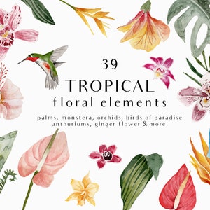 Tropical Watercolor Floral Clipart - Tropical Flowers - Tropical Leaves - Exotic Clipart - Watercolor Summer Clipart - Summer - Hibiscus