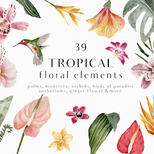 Clipart Floral Aquarela Tropical - Flores Tropicais - Folhas Tropicais - Clipart Exótico - Clipart Verão Aquarela - Verão - Hibisco