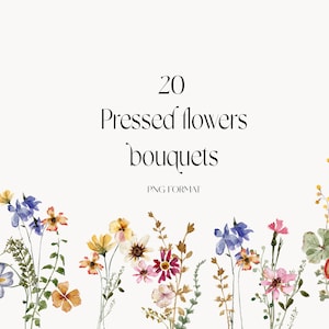 Prado de flores silvestres Buquês em aquarela png - Campo de primavera verão floral flores silvestres ilustrações - flores prensadas clipart png - flores secas