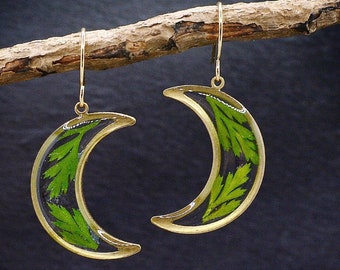 Fern moon earrings/real Fern earrings/boho dangle earrings/celestial jewelry