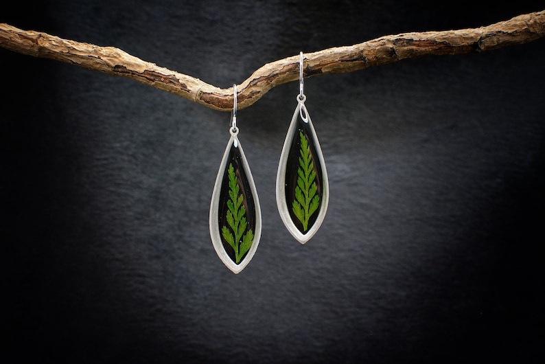 Forest fern earrings/real fern jewelry/botanical handmade jewelry/boho dangle drop earrings image 1
