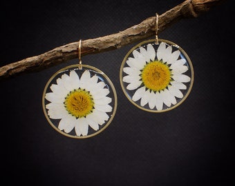 Real Daisy dangle earrings, pressed flowers, mothers day gift for her,resin jewelry, boho style,botanical earrings, handmade jewellery