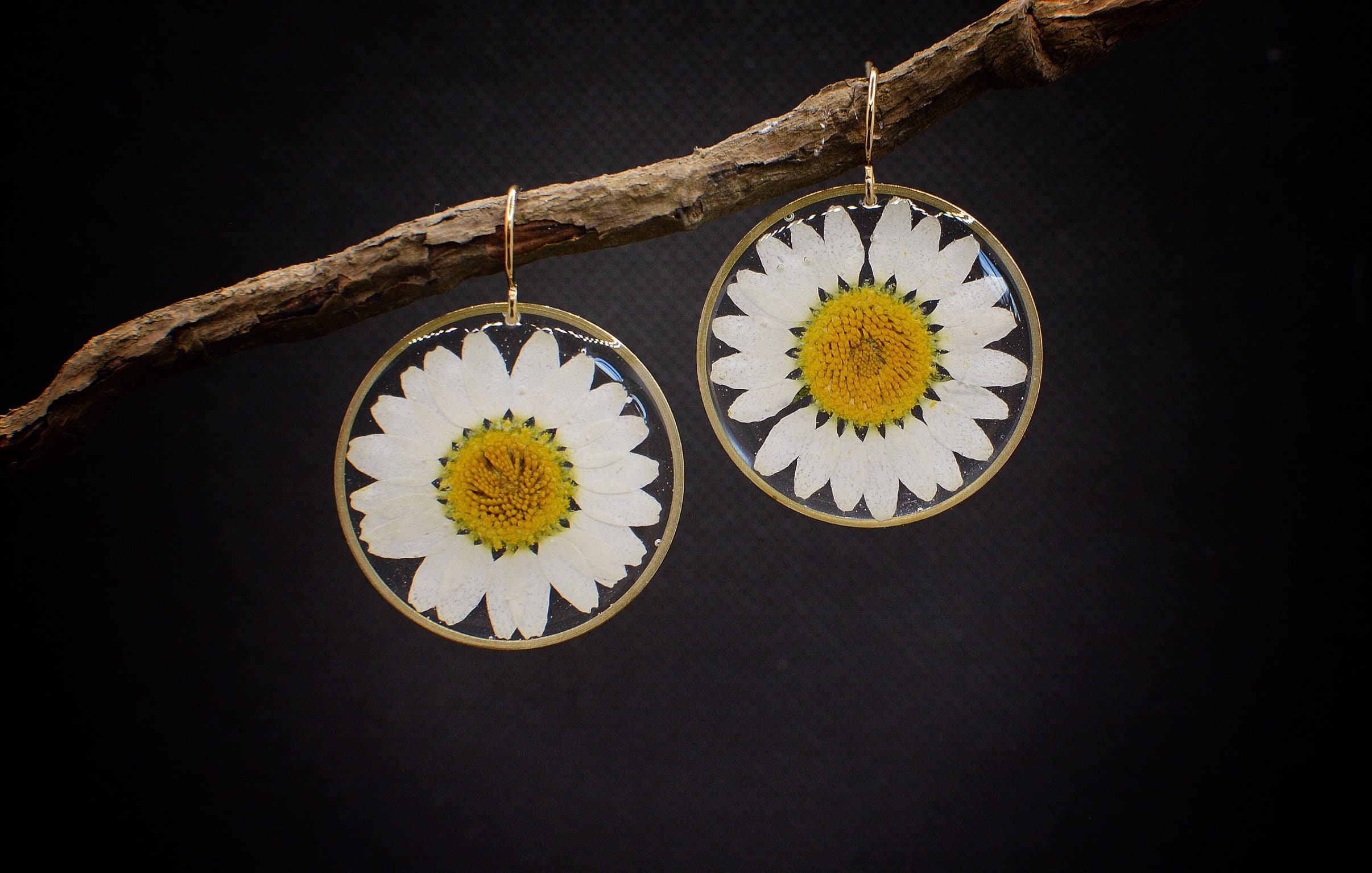 Real Daisy Dangle Earrings, Pressed Flowers, Mothers Day Gift For Her, Resin Jewelry, Boho Style, Botanical Handmade Jewellery