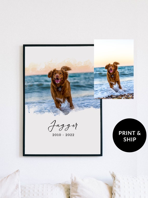 Dog Memorial Picture Pet Memorial Gifts Pass Away Dog Painting