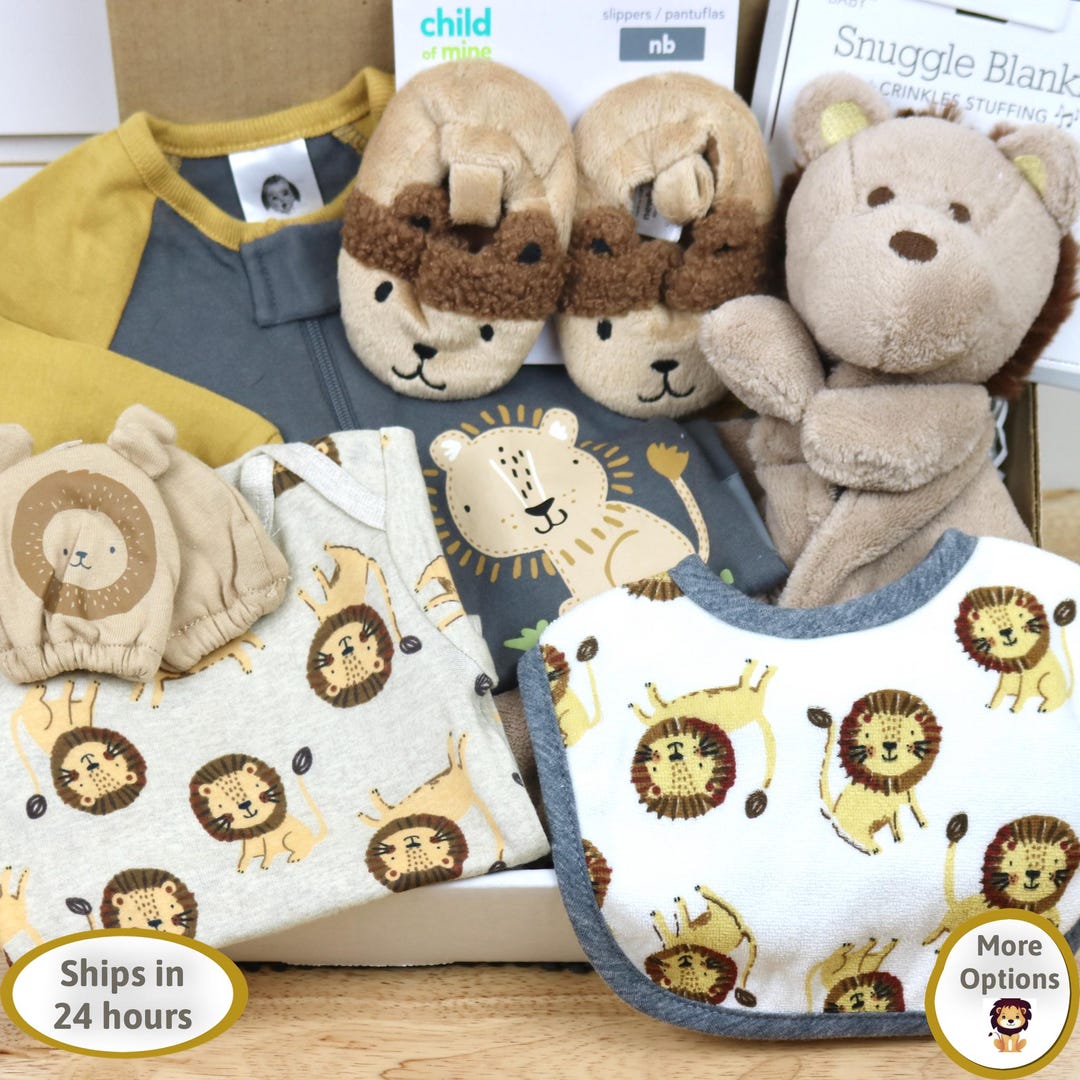 Lion Baby Gift Box, Newborn Clothes, Shower Gift Reborn and Silicone ...