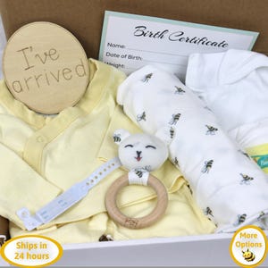 Reborn Baby Bee Gift Box Opening, Reborn Baby Doll Clothes, Reborn Baby Dolls, Reborn Accessories, Silicone Baby Dolls, Baby Gift Set