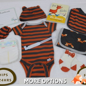 Reborn Baby Shower Gift Box Opening, Newborn Baby Fox Hospital Set, Baby Clothes, Reborn Baby Dolls, Reborn Accessories, Silicone Baby Dolls