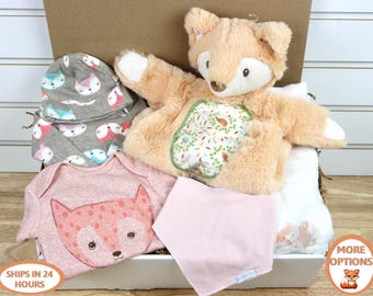 Reborn and Silicone Baby Doll Gift Box Opening,  Baby Clothes, Baby Girl Fox, Woodland Animals