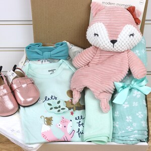 May include: A baby gift set with a light blue and green bodysuit with a fox and the text "Let's all be friends", a light blue headband, a pair of pink shoes, a light blue and white blanket, and a pink fox plush toy.