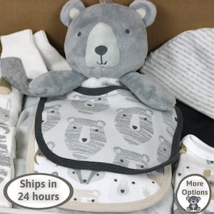 Reborn Gift Box Opening, Reborn Doll Clothes, Reborn Baby Dolls, Baby Gift Box, Reborn Baby Gift, Bear, Silicone Baby Dolls, Reborn Gift Set
