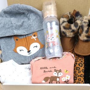 Reborn and Silicone Baby Doll Gift Box Opening, Baby Clothes, Baby Girl Fox, Woodland Animals Little and Loved