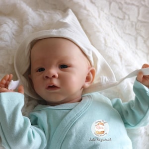 Reborn Baby Doll – Lil Jude by Laura Tuzio Ross Realistic Newborn Baby Boy Reborn Baby Dolls Silicone Baby Dolls Art Dolls