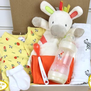 Reborn Gift Box Opening, Reborn Doll Clothes, Reborn Baby Dolls, Reborn Accessories, Zebra Baby Gift Box, Silicone Baby Dolls, Baby Gift Set