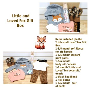 Reborn and Silicone Baby Doll Gift Box Opening, Baby Clothes, Baby Girl Fox, Woodland Animals image 2