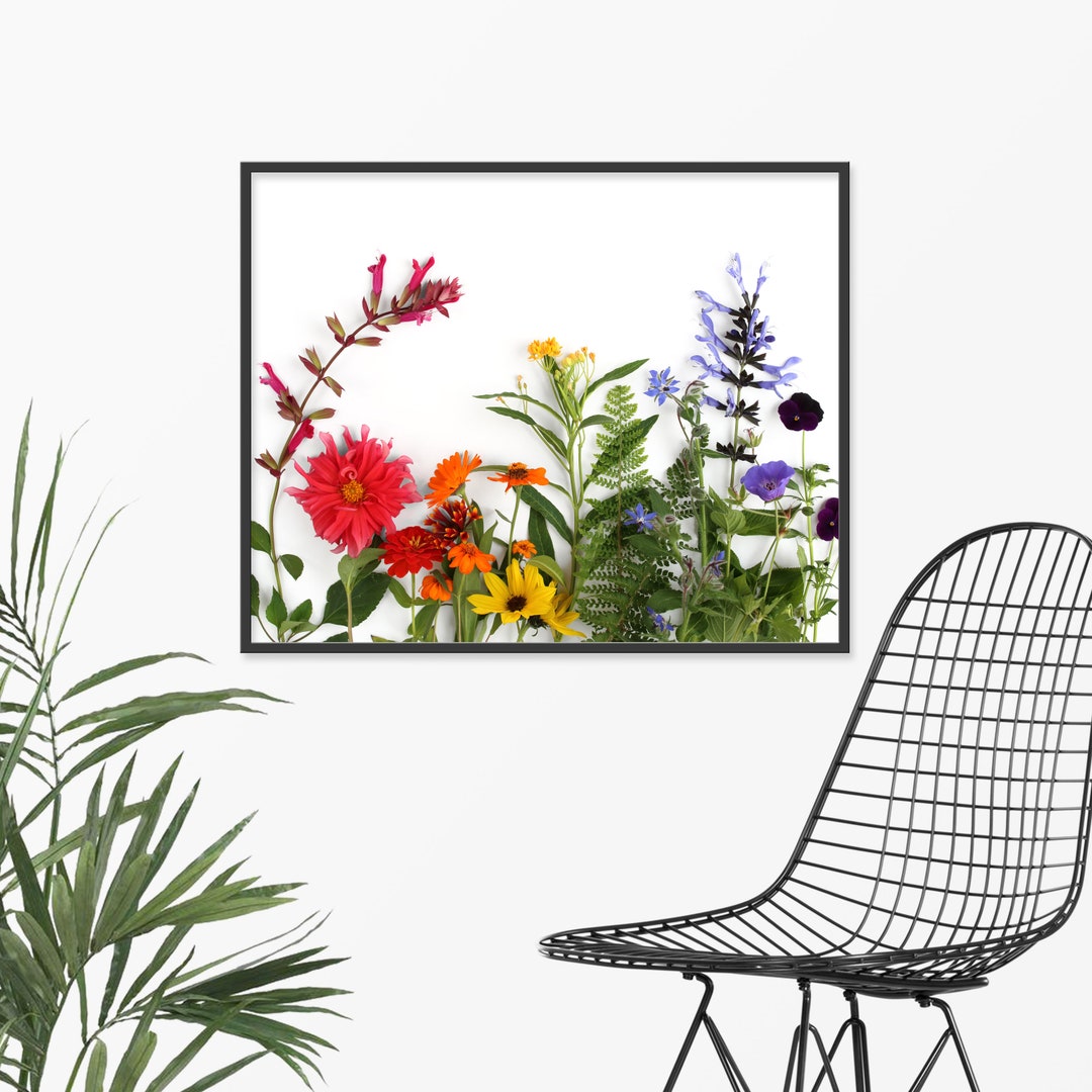 Floral Rainbow Floral Collection 47 Modern Nature Art Wall Decor - Etsy UK