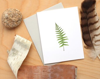Fern Cards ~ Nature Study 21 ~ Blank Card ~ Stationery Set ~ Greeting Card