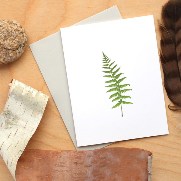 Fern Cards ~ Nature Study 21 ~ Blank Card ~ Stationery Set ~ Greeting Card