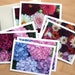 see more listings in the Note Cards section