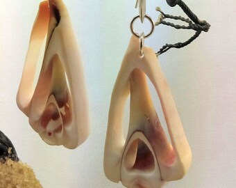 Great beach look sea shell earrings mounted with sterling silver hook.