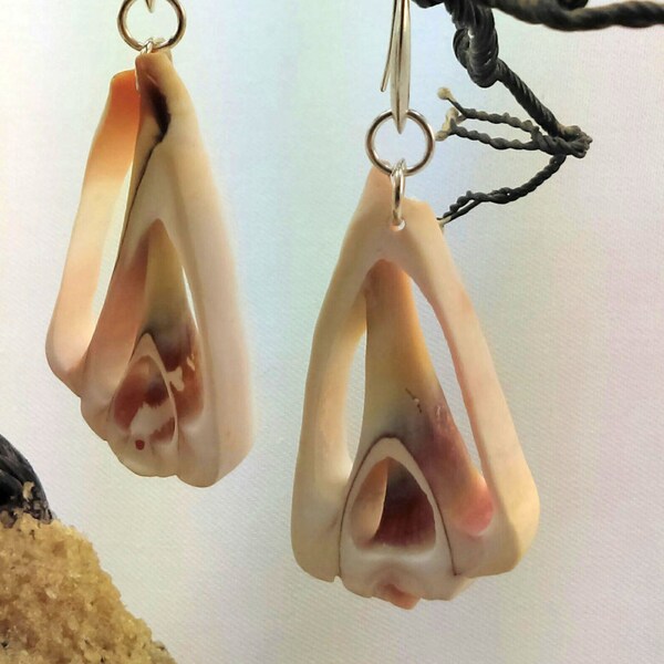 Great beach look sea shell earrings mounted with sterling silver hook.